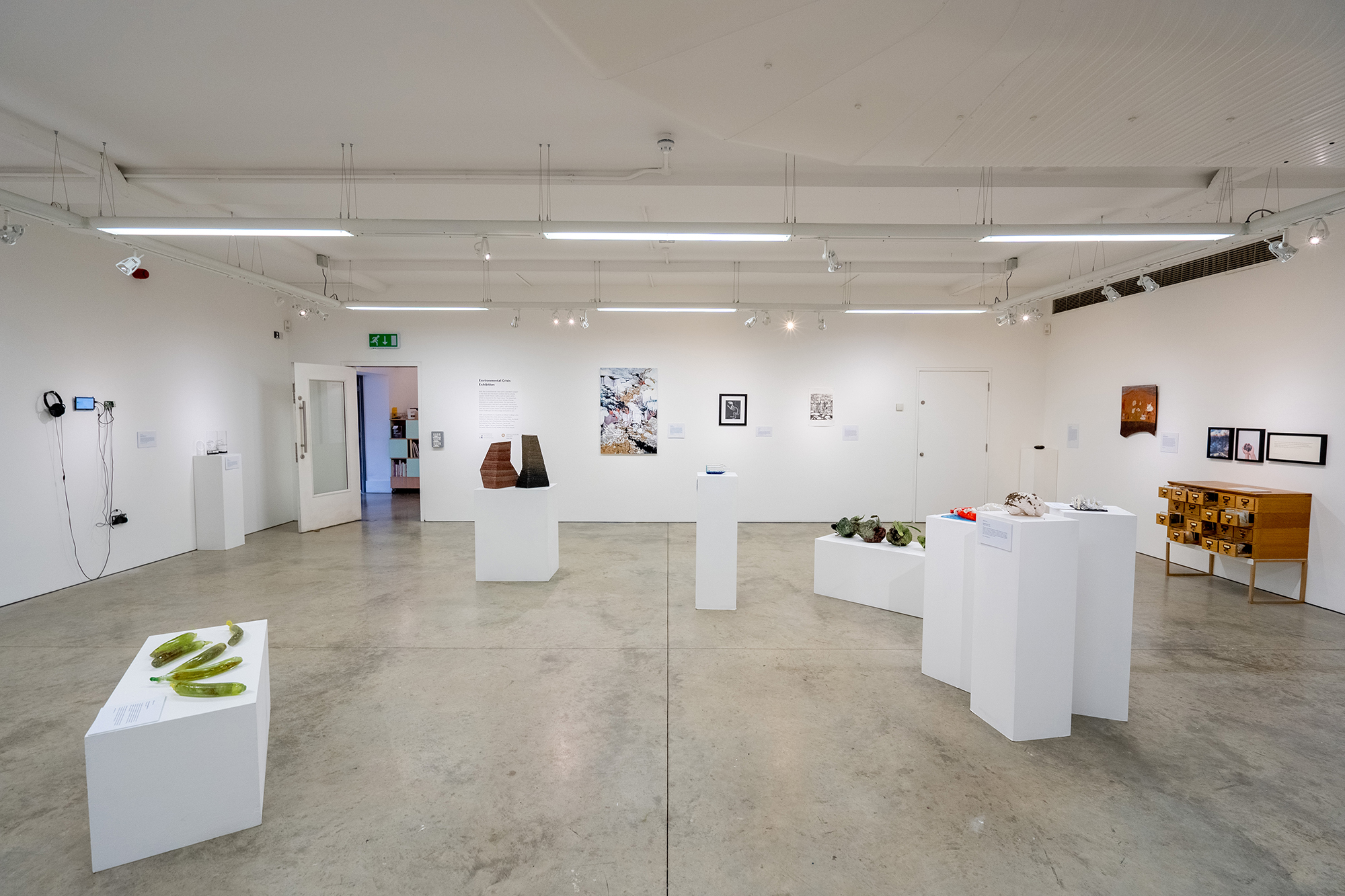 Photo from the Environmental Crisis exhibition at Gerald Moore Gallery
