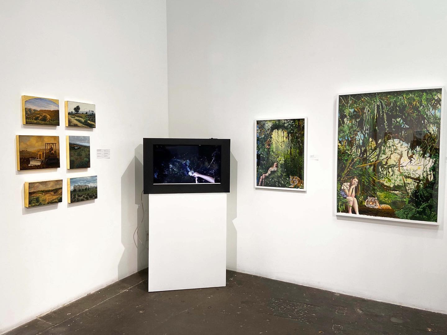 Reflections on Our Warming Planet, opening reception